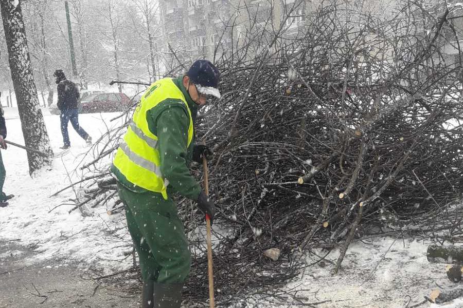 Hortikulturni radovi ekipa Parka i tokom zimskih dana