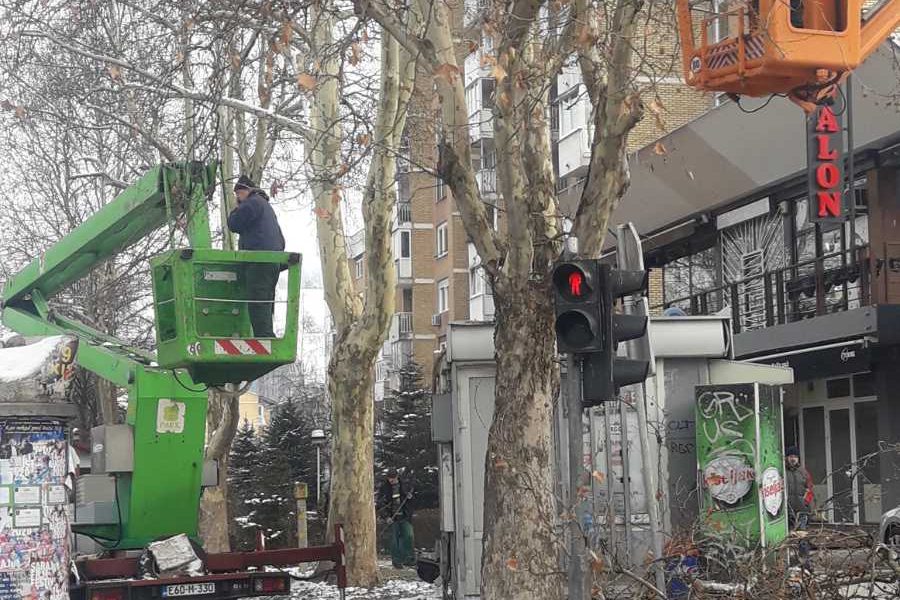 Radnici Parka uređenje drvorede u naselju Dobrinja