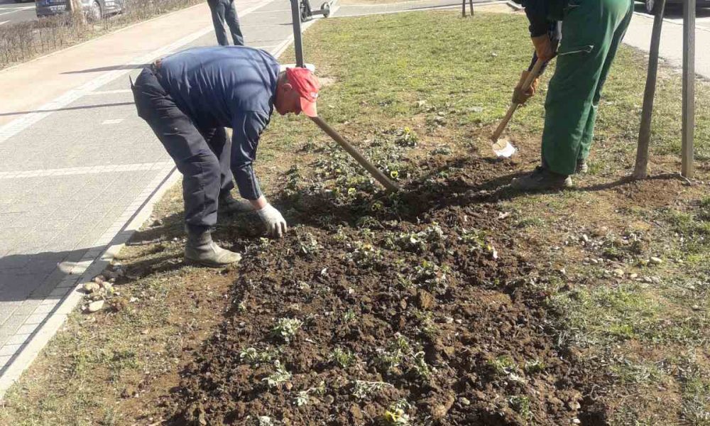 Dežurni timovi preduzeća Park na terenu tokom praznika