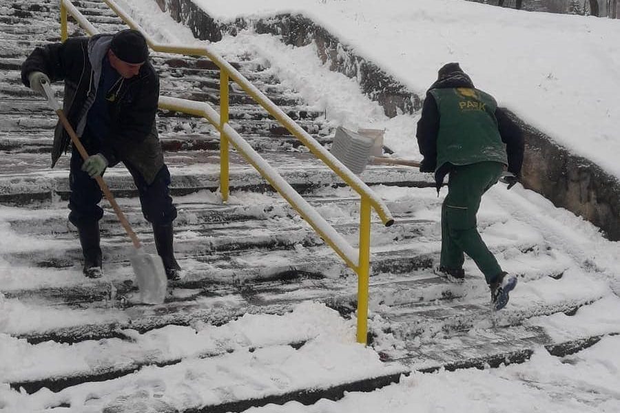 Martovski snijeg nije oštetio sarajevsko zelenilo