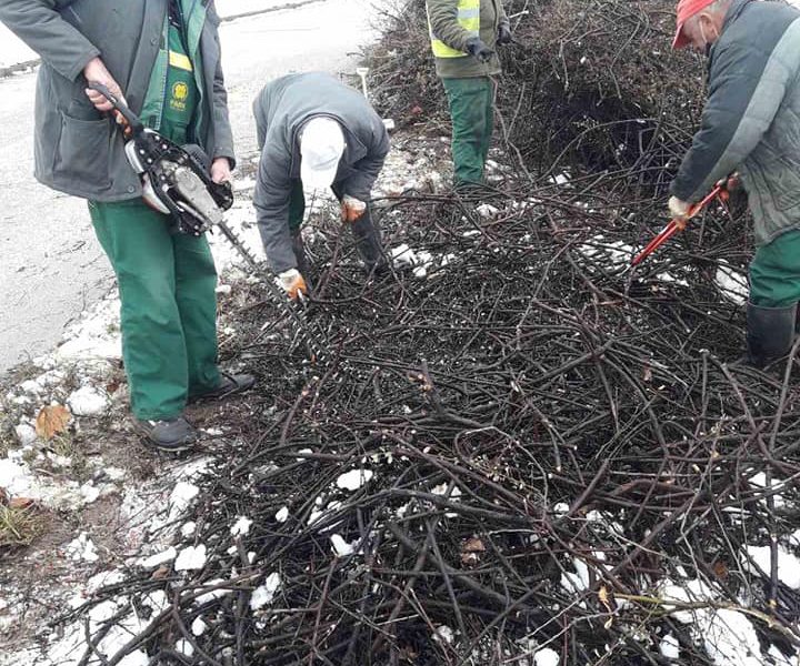 Ekipe Parka orezuju stabla, ukrasno grmlje i vrše pripremu zelenila za proljeće