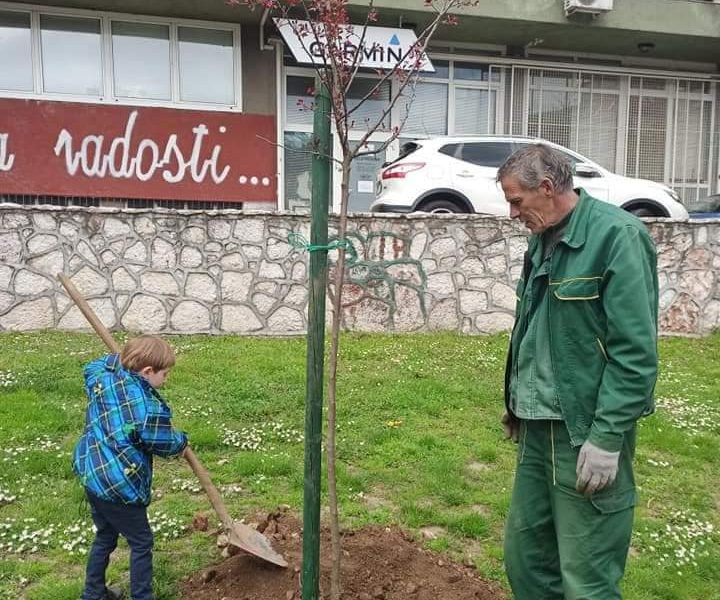 Četverogodišnji Ali graditelj sarajevskih zelenih površina