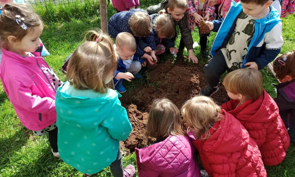 Sarajevu na Dan planete Zemlje 13 novih stabala