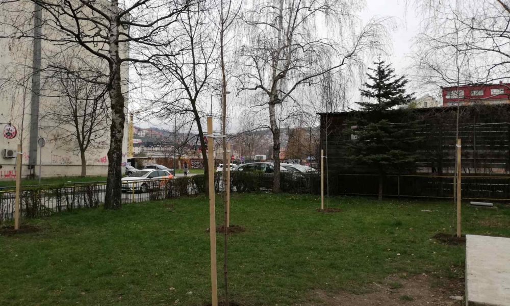 Sarajevu za rođendan sugrađanka Alma i njena porodica poklonili pet stabala
