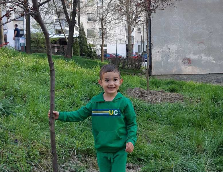 Četverogodišnji Adi poklonio dva stabla sarajevskim zelenim površinama
