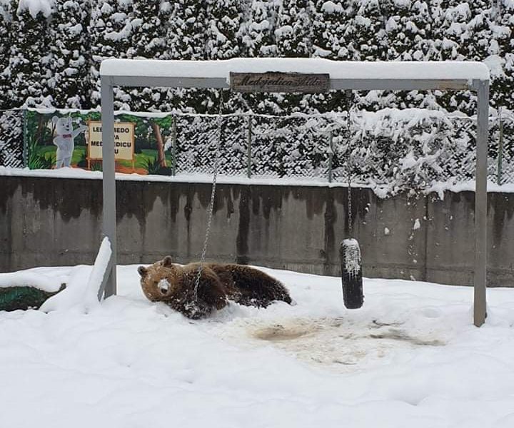 Aprilsko, sniježno jutro u Pionirskoj dolini i zoo vrtu