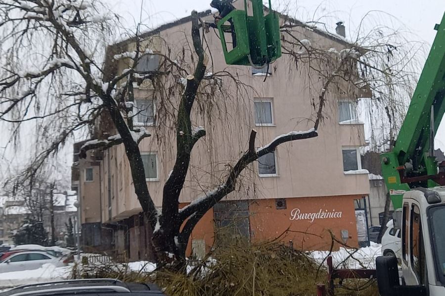 Ekipe Parka saniraju štete na stablima koje je izazvao obilan snijeg